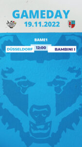 Junge und alte Bären gefragt