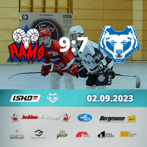 Vermeidbare Niederlage der Bears