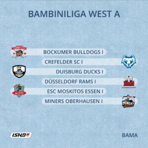 Ligeneinteilungen Saison 2025