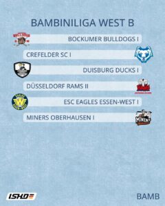 Ligeneinteilungen Saison 2026